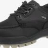 ECCO Casual Veterschoenen Veterschoen Track 25 Heren Zwart 1 ECCO Casual Veterschoenen Veterschoen Track 25 Heren Zwart -Ecco 3c0e49be6b432924f2fe63ae3b36ca01
