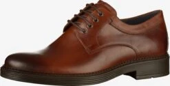 Ecco 13 ECCO Nette Schoenen Veterschoen Heren Bruin