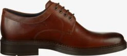 ECCO Nette Schoenen Veterschoen Heren Bruin -Ecco 8b0fc4c460667d12ea43baec1be8551f