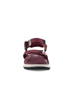 ECCO Exowrap - Outdoorsandalen - Red 15 ECCO Exowrap - Outdoorsandalen - Red -Ecco b68ae8ae2ba54430989a60e0bf7ba757